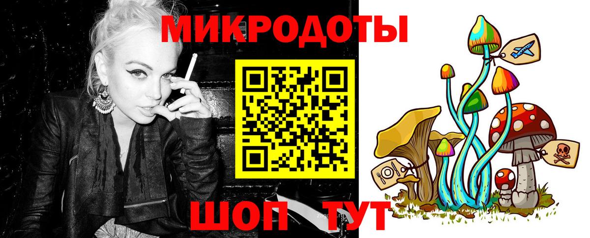 Галлюциногенные грибы Psilocybine cubensis Новоалександровск