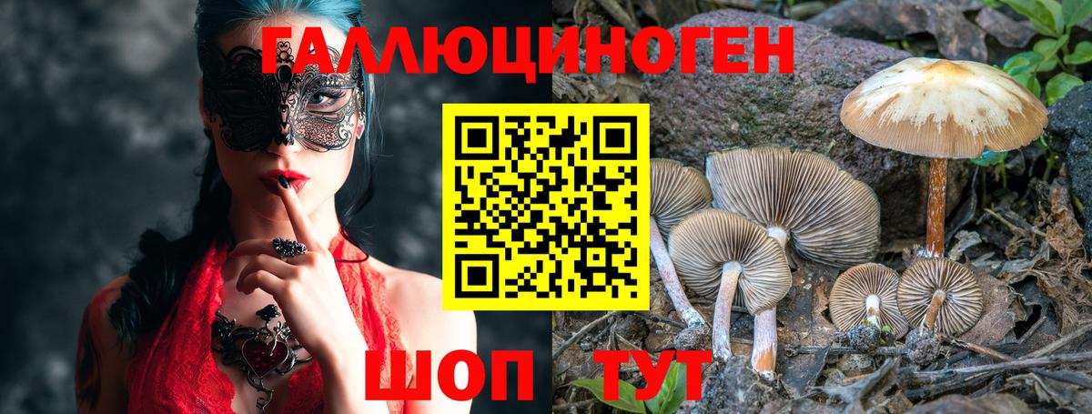 Новоалександровск  хочу наркоту  Вход с VPN  Псилоцибиновые грибы Magic Shrooms 